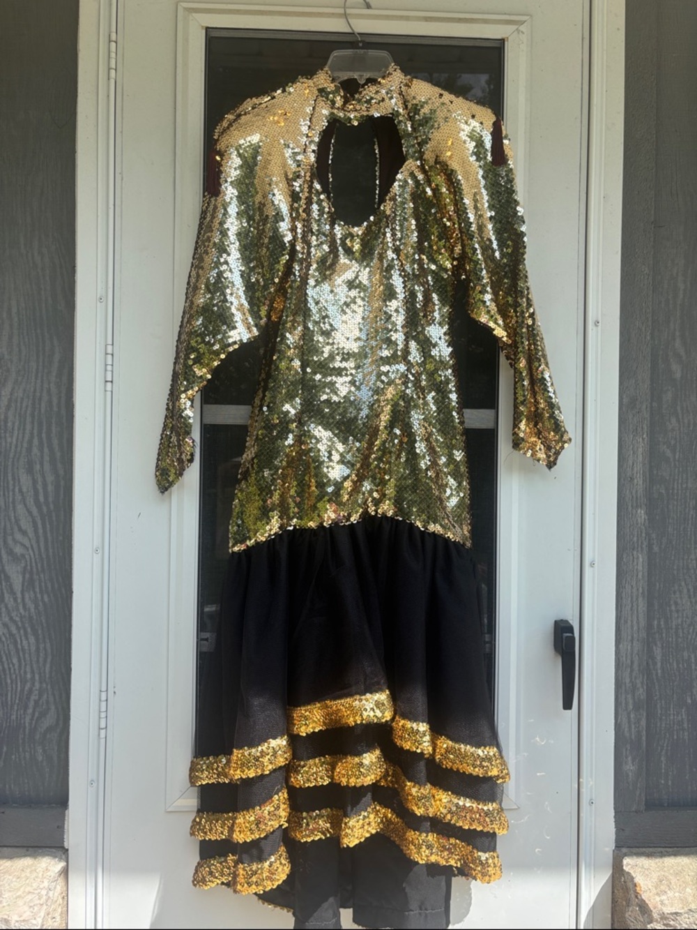 Vintage Gold Sequin & Black Tulle Costume Dress
